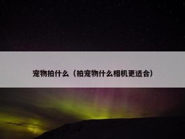 宠物拍什么（拍宠物什么相机更适合）