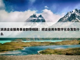 滴滴企业服务事业群蔡晓鸥：把企业用车数字化会发生什么