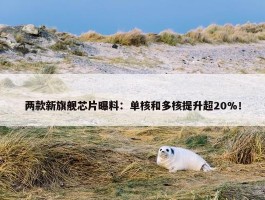 两款新旗舰芯片曝料：单核和多核提升超20%！