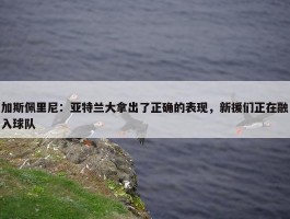 加斯佩里尼：亚特兰大拿出了正确的表现，新援们正在融入球队