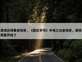 演戏还得看老戏骨，《西北岁月》中有三位老戏骨，演技简直开挂了