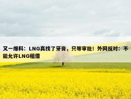 又一爆料：LNG真找了牙膏，只等审批！外网反对：不能允许LNG租借