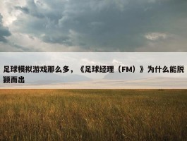 足球模拟游戏那么多，《足球经理（FM）》为什么能脱颖而出