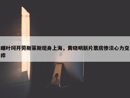 曝叶珂开劳斯莱斯现身上海，黄晓明新片票房惨淡心力交瘁