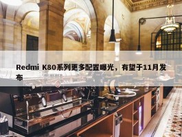 Redmi K80系列更多配置曝光，有望于11月发布