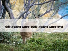 学校还能做什么副业（学校还能做什么副业挣钱）