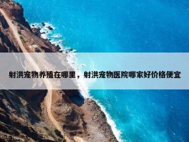 射洪宠物养殖在哪里，射洪宠物医院哪家好价格便宜