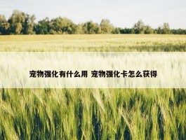 宠物强化有什么用 宠物强化卡怎么获得