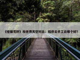 《怪猎荒野》和世界天空对比：程序云手工云哪个好？