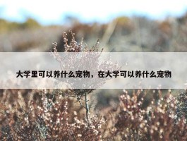 大学里可以养什么宠物，在大学可以养什么宠物