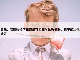 曼晚：若滕哈格下课范尼可能临时执教曼联，但不能让他转正