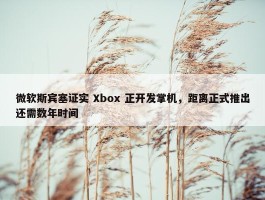 微软斯宾塞证实 Xbox 正开发掌机，距离正式推出还需数年时间