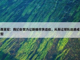 西蒙尼：我们会努力让新援尽快适应，从而让球队迅速成型