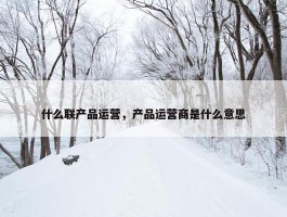 什么联产品运营，产品运营商是什么意思