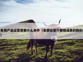 免费产品运营需要什么条件（免费运营只要提成真的假的）