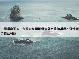 三国谋定天下：你见过东吴都督全部出重骑兵吗？还爆锤了赵云马超