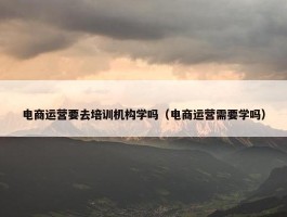 电商运营要去培训机构学吗（电商运营需要学吗）