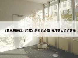 《真三国无双：起源》新角色介绍 黄月英大姐姐超美