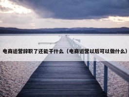 电商运营辞职了还能干什么（电商运营以后可以做什么）