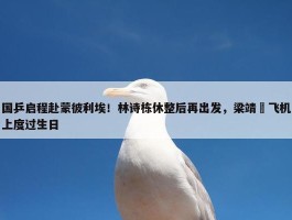 国乒启程赴蒙彼利埃！林诗栋休整后再出发，梁靖崑飞机上度过生日