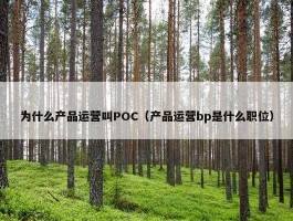 为什么产品运营叫POC（产品运营bp是什么职位）