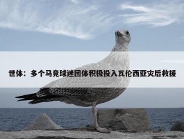 世体：多个马竞球迷团体积极投入瓦伦西亚灾后救援