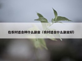 在农村适合种什么副业（农村适合什么副业好）