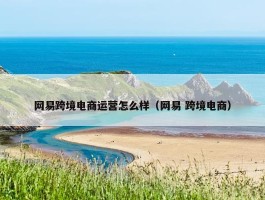 网易跨境电商运营怎么样（网易 跨境电商）