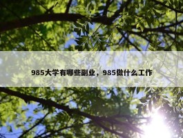 985大学有哪些副业，985做什么工作