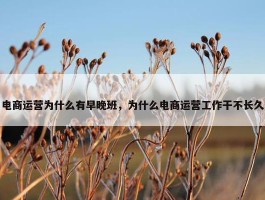 电商运营为什么有早晚班，为什么电商运营工作干不长久