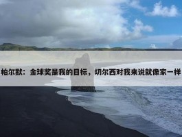 帕尔默：金球奖是我的目标，切尔西对我来说就像家一样