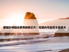 荣耀赵明回应使用麒麟芯片：短期内可能性不是很大