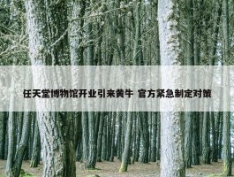 任天堂博物馆开业引来黄牛 官方紧急制定对策