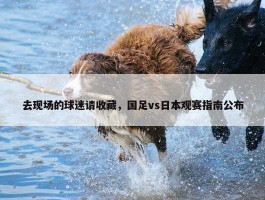 去现场的球迷请收藏，国足vs日本观赛指南公布