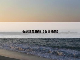 鲁能球员杨智（鲁能杨晨）