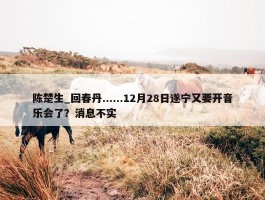 陈楚生_回春丹......12月28日遂宁又要开音乐会了？消息不实