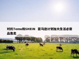 对抗Temu和SHEIN  亚马逊计划加大生活必需品售卖