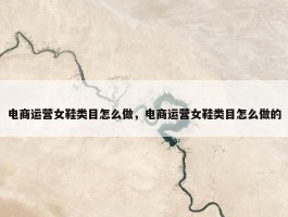 电商运营女鞋类目怎么做，电商运营女鞋类目怎么做的