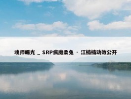 魂师曝光 _ SRP疯魔柔兔 · 江楠楠动效公开