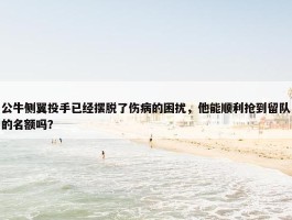 公牛侧翼投手已经摆脱了伤病的困扰，他能顺利抢到留队的名额吗？