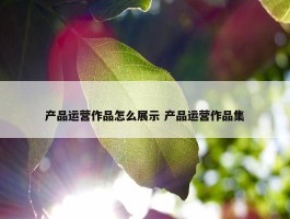 产品运营作品怎么展示 产品运营作品集