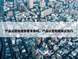 产品运营助理需要审美吗，产品运营助理面试技巧