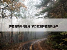 狮驼宠物如何选择 梦幻西游狮驼宠物选择