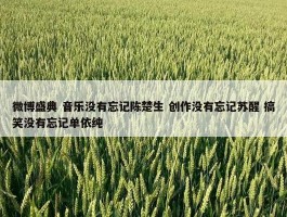 微博盛典 音乐没有忘记陈楚生 创作没有忘记苏醒 搞笑没有忘记单依纯