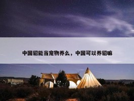 中国貂能当宠物养么，中国可以养貂嘛