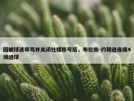 因被球迷辱骂并关闭社媒账号后，布伦南-约翰逊连续4场进球