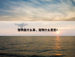 宠物是什么事，宠物什么意思?