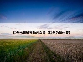 红色水果蟹宠物怎么养（红色的淡水蟹）