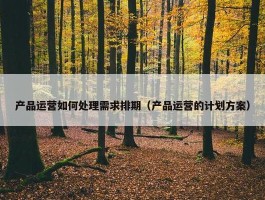 产品运营如何处理需求排期（产品运营的计划方案）