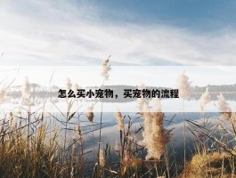 怎么买小宠物，买宠物的流程